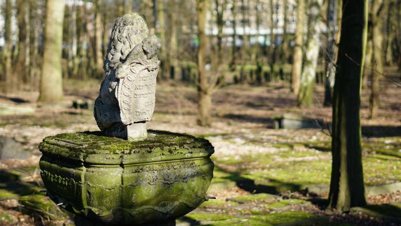 Jüdischer Friedhof an der Königstraße. 2025. Foto: Stadtteilarchiv Ottensen e.V./ Aylin Cömlek und Dirk Hempel